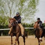 Mociano: la fotogallery dei lavori di addestramento di ieri