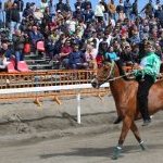 La fotogallery del palio della Costa Etrusca 2023