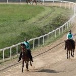 Monticiano la fotogallery delle corse di ieri