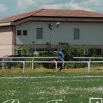 Monteroni d'Arbia: la fotogallery delle corse di oggi