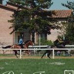 Monteroni d'Arbia: la fotogallery delle corse di oggi