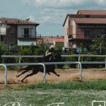 Monteroni d'Arbia: la fotogallery delle corse di oggi