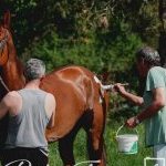 Monteroni d'Arbia: la fotogallery delle corse di oggi