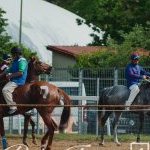 Monteroni d'Arbia: la fotogallery delle corse di oggi