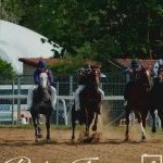 Monteroni d'Arbia: la fotogallery delle corse di oggi