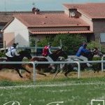 Monteroni d'Arbia: la fotogallery delle corse di oggi