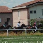 Monteroni d'Arbia: la fotogallery delle corse di oggi