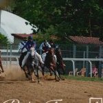 Monteroni d'Arbia: la fotogallery delle corse di oggi