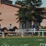Monteroni d'Arbia: la fotogallery delle corse di oggi