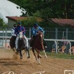 Monteroni d'Arbia: la fotogallery delle corse di oggi