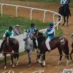 Monteroni d'Arbia: la fotogallery delle corse di oggi