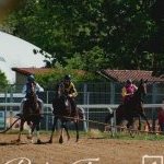 Monteroni d'Arbia: la fotogallery delle corse di oggi