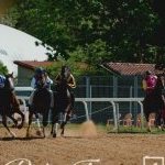 Monteroni d'Arbia: la fotogallery delle corse di oggi