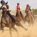 Mociano: la fotogallery dei lavori di addestramento di ieri pomeriggio