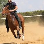 Mociano: la fotogallery dei lavori di addestramento di ieri pomeriggio