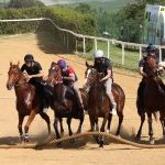 Mociano: la fotogallery dei lavori di addestramento di ieri pomeriggio
