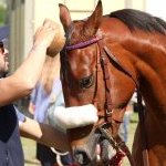 Mociano: la fotogallery dei lavori di addestramento di ieri pomeriggio