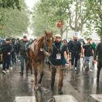Fucecchio: la prima gallery fotografica del palio 2023