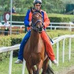 Fucecchio: la prima gallery fotografica del palio 2023