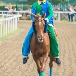 Fucecchio: la seconda fotogallery del palio 2023