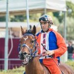 Fucecchio: la seconda fotogallery del palio 2023