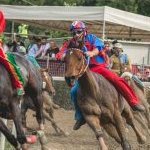 Fucecchio: la seconda fotogallery del palio 2023