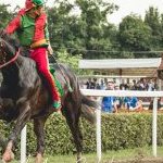 Fucecchio: la seconda fotogallery del palio 2023