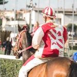 Fucecchio: la seconda fotogallery del palio 2023