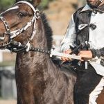 Fucecchio: la seconda fotogallery del palio 2023