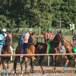 Fucecchio: la seconda fotogallery del palio 2023