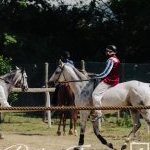 Monticiano 30 maggio 2023