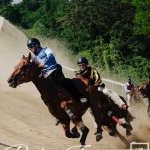 Monticiano 30 maggio 2023