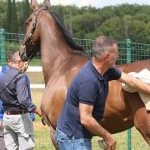 Mociano: le foto di ieri