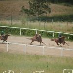 Mociano: ecco la fotogallery dell'appuntamento di oggi