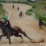 Mociano: ecco la fotogallery dell'appuntamento di oggi