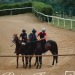 Mociano: ecco la fotogallery dell'appuntamento di oggi