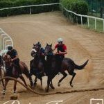 Mociano: ecco la fotogallery dell'appuntamento di oggi