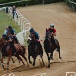 Mociano: ecco la fotogallery dell'appuntamento di oggi