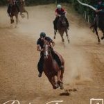 Mociano: ecco la fotogallery dell'appuntamento di oggi