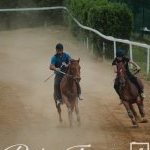 Mociano: ecco la fotogallery dell'appuntamento di oggi