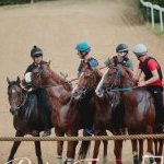 Mociano: ecco la fotogallery dell'appuntamento di oggi