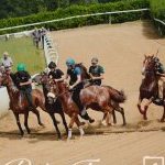 Mociano: ecco la fotogallery dell'appuntamento di oggi