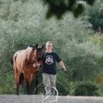 Palio 2 luglio 2023: terminate le Previsite