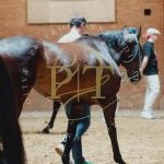 Palio 2 luglio 2023: la fotogallery della seconda prova