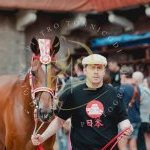 Palio 2 luglio 2023: la fotogallery della seconda prova
