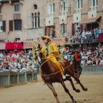 Palio 2 luglio 2023: la fotogallery della Provaccia