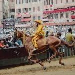 Palio 2 luglio 2023: la fotogallery della Provaccia