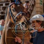 Palio 2 luglio 2023: la prima fotogallery di Massimiliano Bruttini