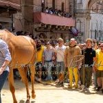 Palio 2 luglio 2023: la prima fotogallery di Massimiliano Bruttini