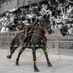 Palio 2 luglio 2023: la prima fotogallery di Massimiliano Bruttini